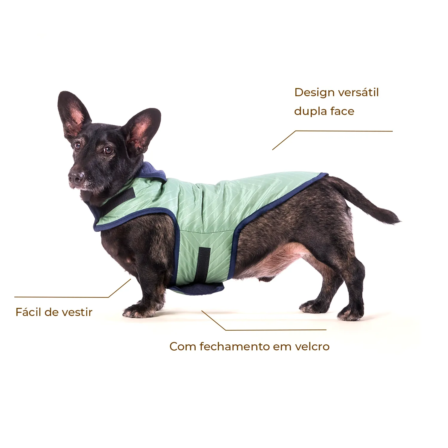 Capa Dupla Face Verde Fábrica Pet